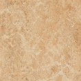 /products/3075-shell-real/
